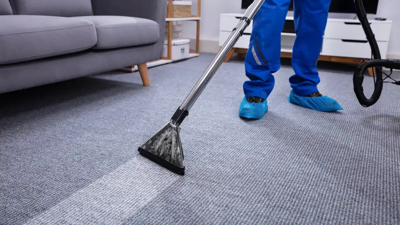 carpet and floor cleaning palm coast