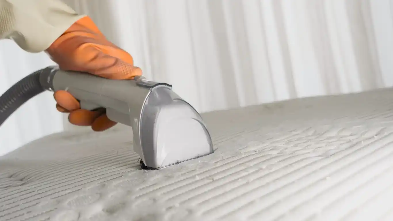 Deep Cleaning services palm coast