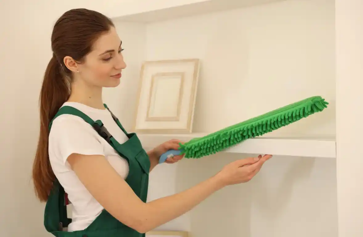 Dust and Allergen Removal service