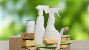 Eco-Friendly Cleaning Hacks for Palm Coast Homes