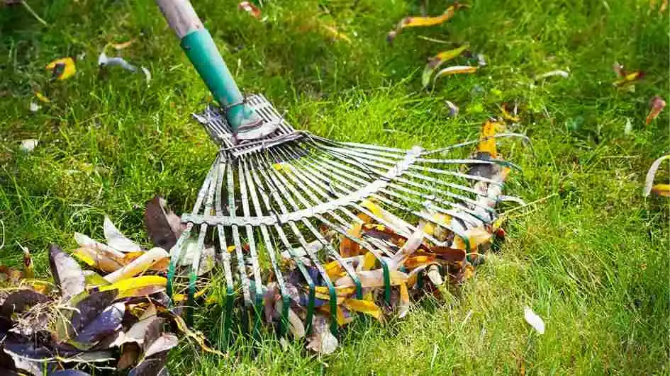 Green Cleaning in Palm Coast