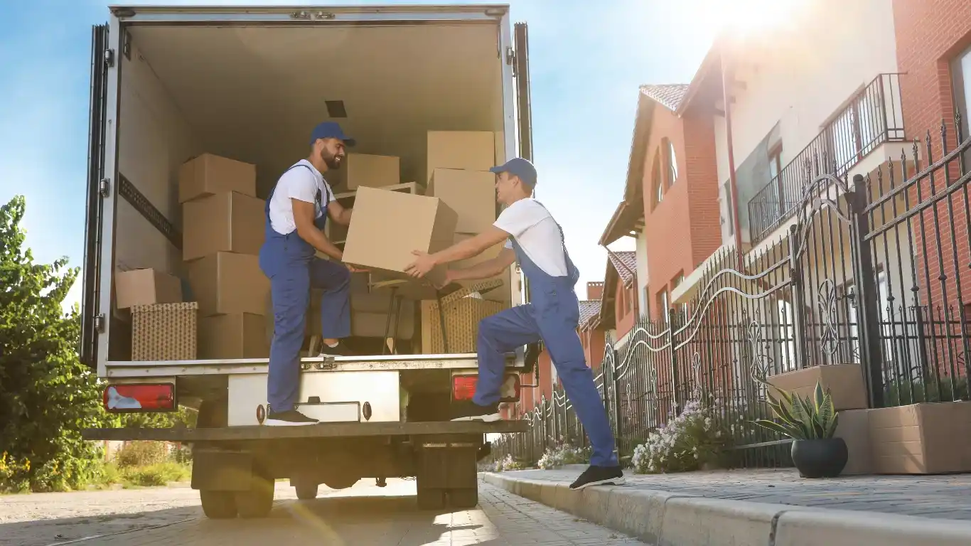 Move in and move out cleaning palm coast