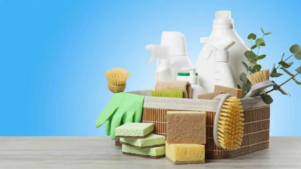 Why Eco Friendly Cleaning Matters in Palm Coast