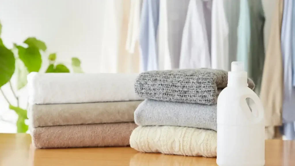 airbnb hosts cleaning services